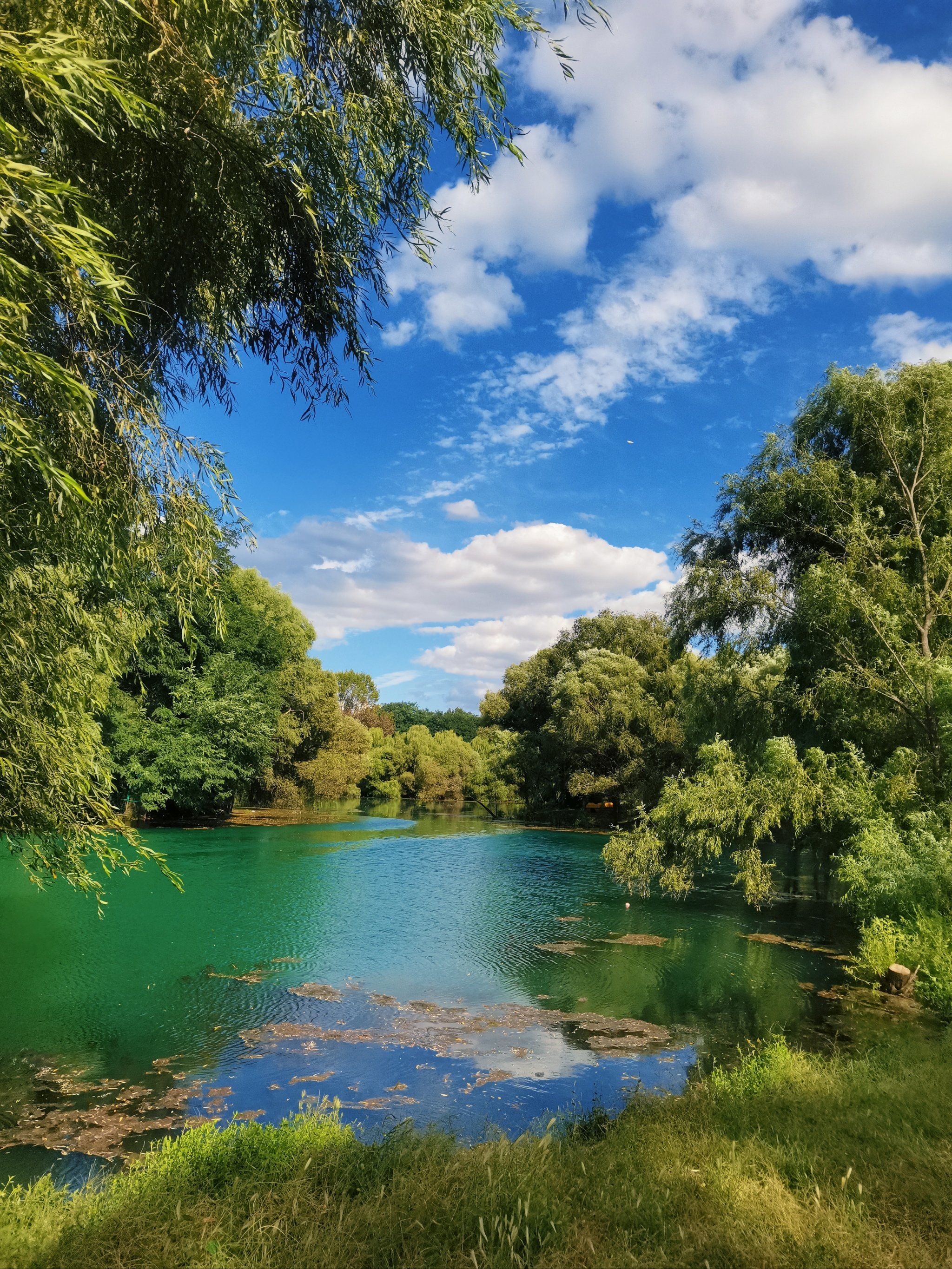 n
路边随便找个口下去就行,风景都不错,水看着碧绿碧绿的
