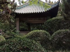 -叶家花园