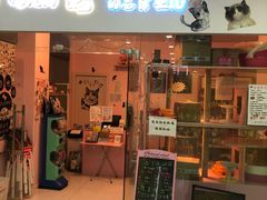 -三花喵·撸猫购宠·宠物生活馆(虹桥南丰城店)