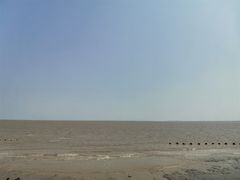 -春花秋色城市公园