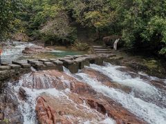 -广州白江湖森林公园