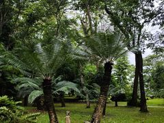 -中国科学院西双版纳热带植物园