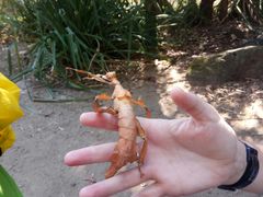 -可伦宾野生动物保护区