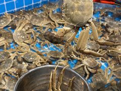 -半岛听涛蒸汽海鲜自助(K11店)
