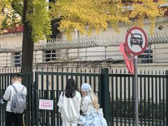 -三里屯东五街银杏大道