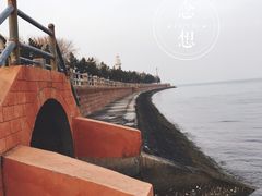 -海草馆自助餐厅(悦海店)