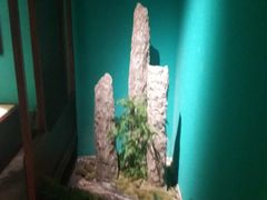 -佬麻雀·新湘菜(珠海金发购物中心店)