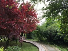 -贵阳市花溪国家城市湿地公园