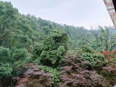 -天怡·鱼工厂(梅溪湖店)