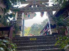-西双版纳原始森林公园