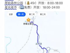 -西双版纳原始森林公园