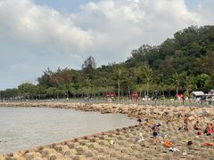 -野狸岛