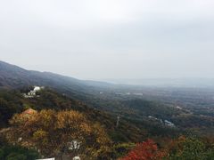 -紫金山天文台