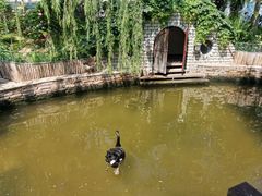 -南宫五洲植物乐园