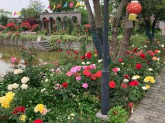 -嬉乐湾休闲旅游区