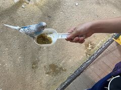 -上海大自然野生昆虫馆(东方明珠·爬宠昆虫探索中心)
