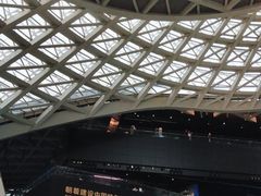 -深圳市当代艺术与城市规划馆