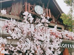 -星巴克臻选(思南公馆店)
