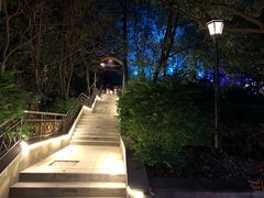 -宝莱纳啤酒花园餐厅PAULANER BRAUHAUS Nanjing(广州路店)