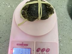 -阳澄湖大闸蟹·琼灵阁牌品牌连锁(吴中总店)