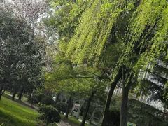 -沙市市中山公园