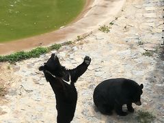 -石家庄市动物园