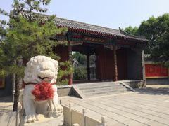 -白洋淀景区
