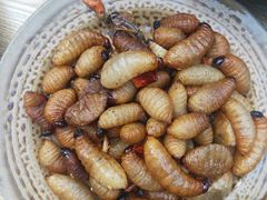 -昆虫窝子·特色云南菜(拓东路总店)