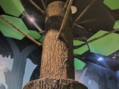 -中国杭州低碳科技馆