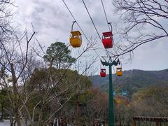 -惠山国家森林公园