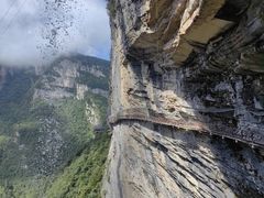 -鹿院坪生态旅游景区