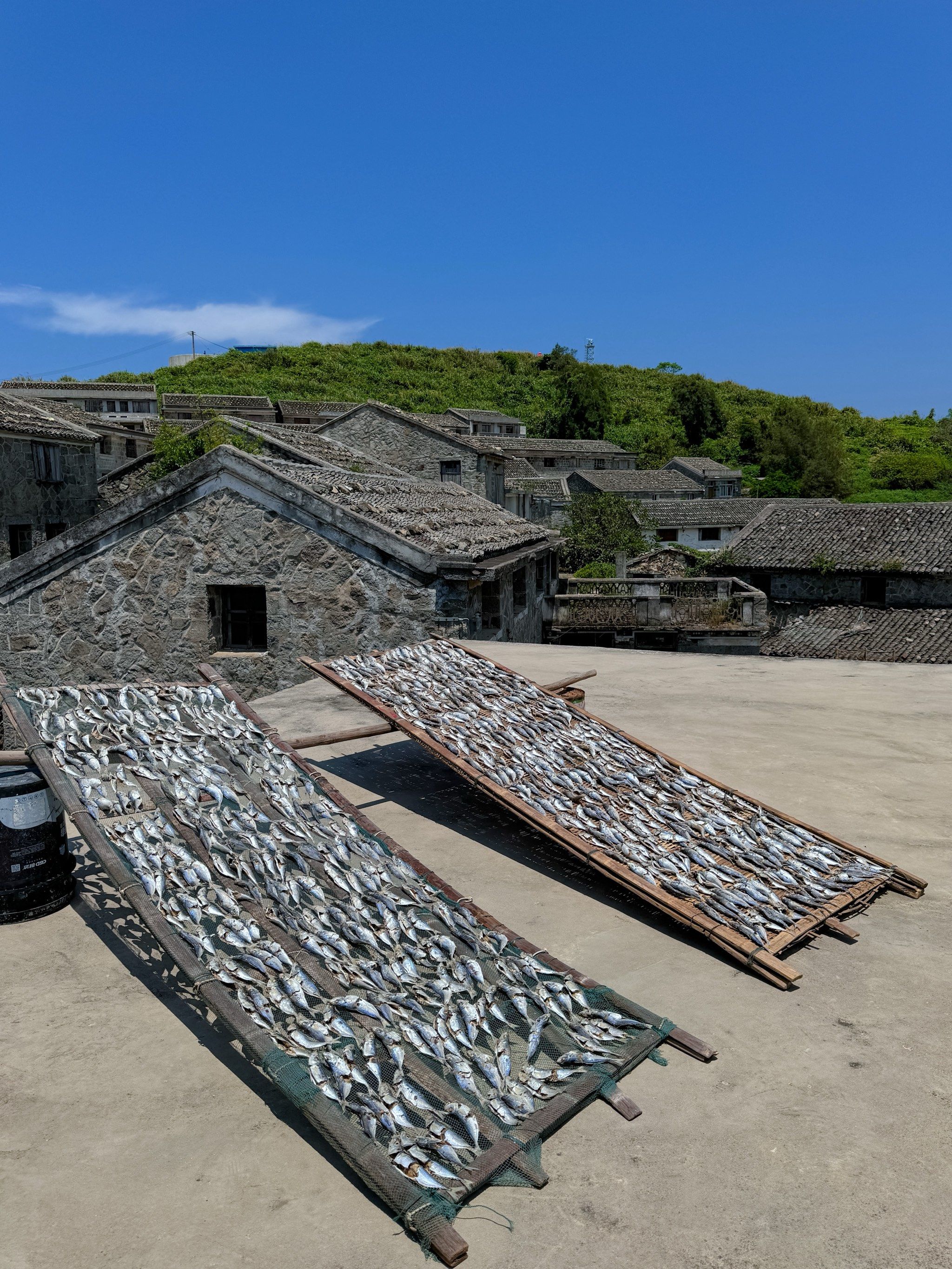 温州北麂岛|住麂海心踪看蓝绿色的大海98