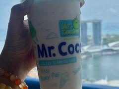 -新加坡瑞士史丹福酒店