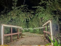 -林栖谷森林康养度假区