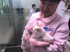 -宠颐生中康贝怡动物医院