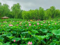 -太阳宫公园