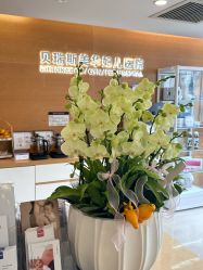 -杭州贝瑞斯美华妇儿医院·早孕·产检·儿科