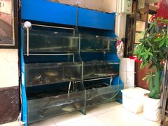 -滇香肴·云南菜蒸汽石锅鱼(云南北路店)