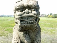 卢沟桥的狮子-卢沟桥文化旅游区