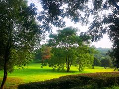 -浙江科技大学(小和山校区)