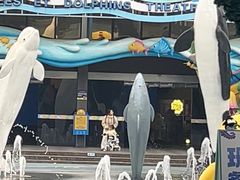 -海合安成都极地海洋公园