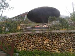 -大盘山温泉山庄