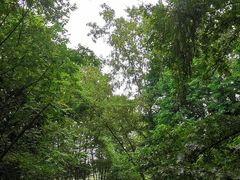 -桤木河湿地公园