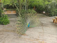 -天目湖山水园