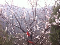 iphone_upload_pic-蒙山大佛景区