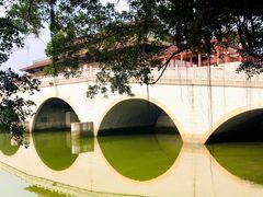 -大湾区中央湿地公园