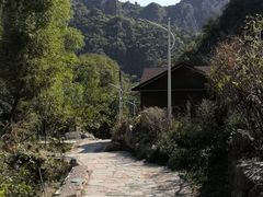 -大岭沟猕猴桃谷风景区