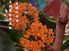 -颐和园