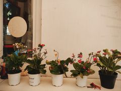 -大象厨房(重庆道店)