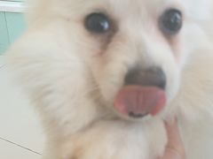 -怪兽屋·羊驼·猫咖·狗咖(俊华广场店)